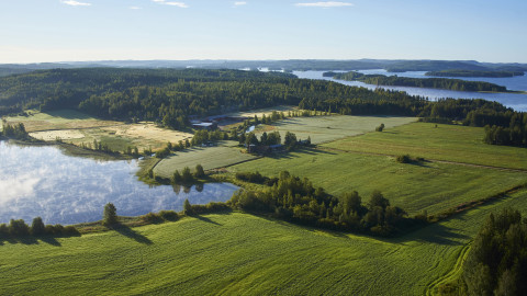Iloniemi pelto ja järvimaisema. Image Visit Jyväskylä Region