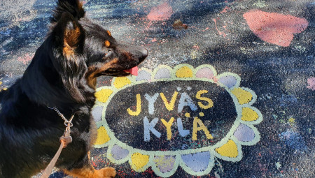 Koira istuu katumaalauksen vieressä. Maalauksessa lukee Jyväskylä kukan keskellä. Kuva Jaana Pinson